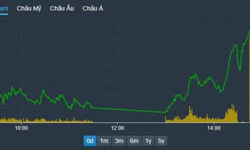 Cổ phiếu chứng khoán, bất động sản tím lịm, khối ngoại lại mua ròng ngàn tỷ