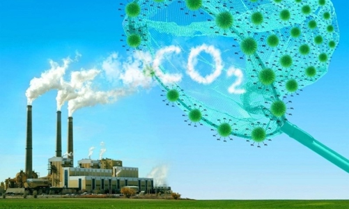 Australia hỗ trợ  3,3 triệu AUD cho 6 dự án carbon bền vững tại Việt Nam