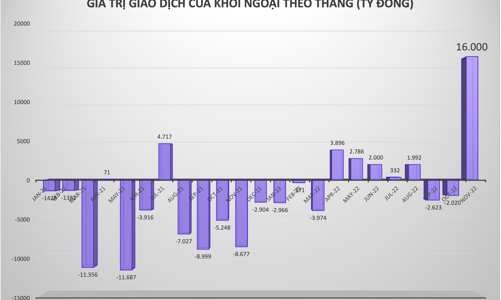 Kỷ lục khối ngoại: Mua ròng 16.000 tỷ đồng chứng khoán Việt Nam trong vòng một tháng