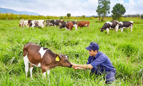 Tận dụng các cơ hội từ biến đổi khí hậu, doanh nghiệp sẽ tiếp nhận được các mô hình kinh tế, tài chính mới
