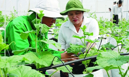 Tận dụng mọi nguồn lực cho phát triển nông nghiệp xanh