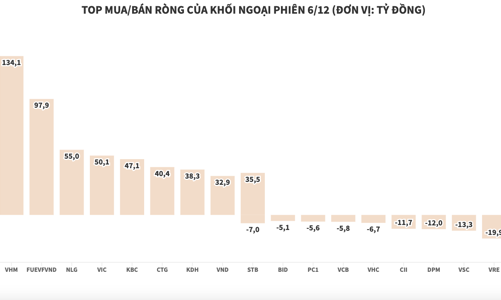 Bất chấp thị trường giảm sâu, khối ngoại mua ròng nhiều cổ phiếu