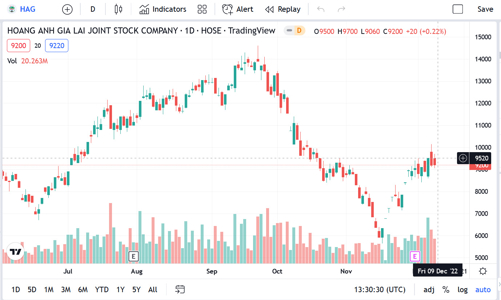 11 tháng, HAG báo lãi 1.115 tỷ đồng hoàn thành 99% kế hoạch năm
