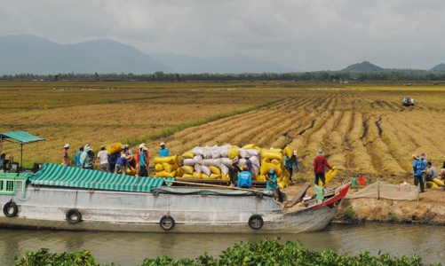 Phát triển vận tải thủy là trọng tâm tại vùng Đồng bằng sông Cửu Long đến năm 2045