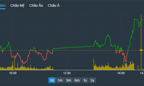 VN-Index đảo chiều tăng dựng đứng, cổ phiếu chứng khoán tím