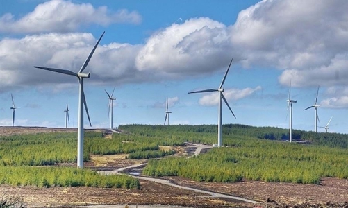 Việt Nam nhận 15,5 tỷ USD hỗ trợ chuyển đổi xanh