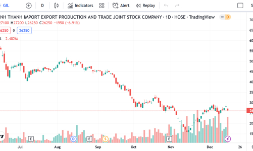 Gilimex xác nhận đang tiến hành khởi kiện Amazon