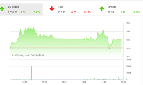 Thận trọng với biến động thị trường trong ngày các quỹ ETF tái cơ cấu danh mục