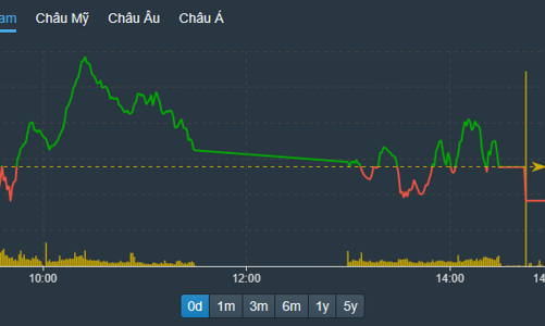 Tiền nội “cân” tốt, thị trường biến động nhẹ