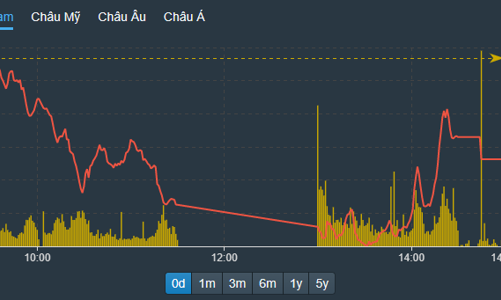 Vốn ngoại bắt đáy cổ phiếu blue-chips, hàng đầu cơ vẫn sàn cả loạt