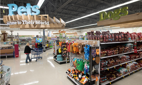 Ngành công nghiệp thú cưng có một năm bội thu