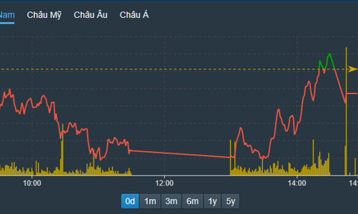 Vốn ngoại nỗ lực đỡ, thị trường vẫn hụt hơi