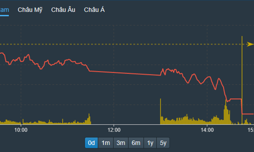VN-Index thủng ngưỡng 1.000 điểm, gần 160 cổ phiếu giảm sàn
