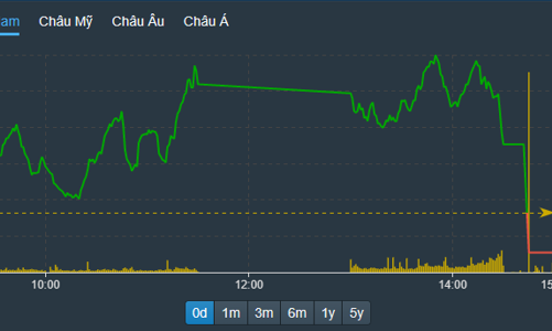 Vỡ mộng với phiên chốt NAV cuối năm