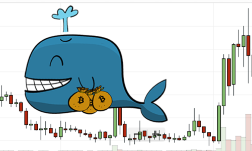 Dòng tiền “cá mập” trong nước và khối ngoại sẽ trỗi dậy chi phối thị trường chứng khoán năm 2023