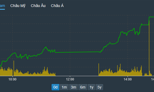 VN-Index chào 2023 với mức tăng kỷ lục một tháng, 135 cổ phiếu kịch trần