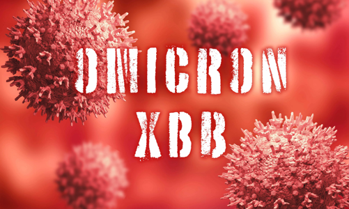 Biến chủng Omicron mới đang lan rộng tại Mỹ nguy hiểm đến mức nào?