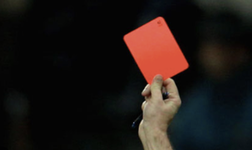 Tập đoàn Hòa Bình, Apax English, Thủy sản Vĩnh Hoàn...bị 