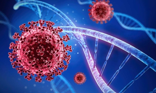 WHO: Biến chủng XBB, XBB.1.5 sẽ dần chiếm ưu thế