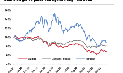 SSI Research: Các công ty thủy sản nguy cơ tăng trưởng lợi nhuận âm trong năm 2023