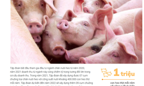 Lần đầu tiên kể từ năm 2011, HAG báo lãi  trên 1.000 tỷ đồng