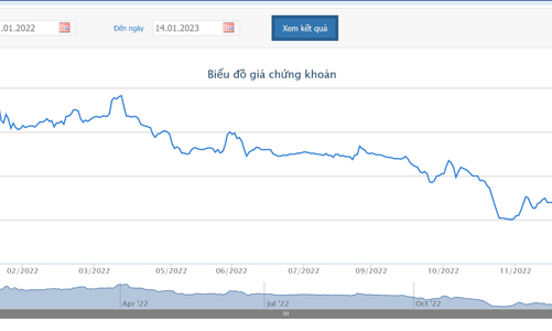 8 lần trì hoãn trả cổ tức 2016, SJS điều chỉnh giảm kế hoạch kinh doanh năm 2022