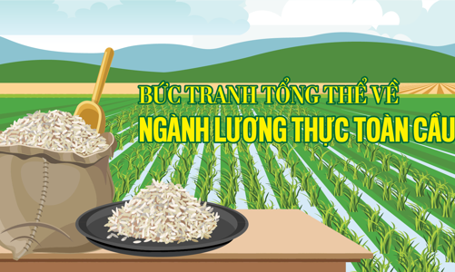 Bức tranh tổng thể về ngành lương thực toàn cầu