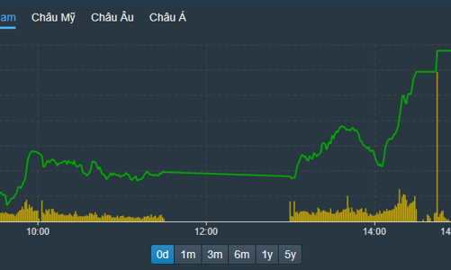 Thị trường “lì xì” sớm, gần 50 mã kịch trần, VN-Index sẵn sàng vượt đỉnh