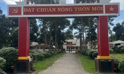 Người Chơro trồng rừng bền vững: Đoạn tuyệt kiếp đói nghèo 