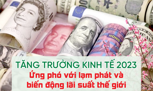 Tăng trưởng kinh tế 2023: Ứng phó với lạm phát và biến động lãi suất thế giới