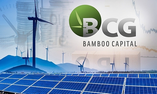 Bamboo Capital (BCG) báo lãi ròng 2022 hơn 546 tỷ trong điều kiện thị trường có nhiều biến động