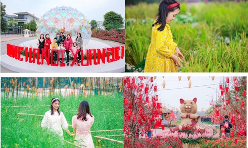 Trải nghiệm “Vũ trụ Tết diệu kỳ” tại đường hoa Home Hanoi Xuan 2023