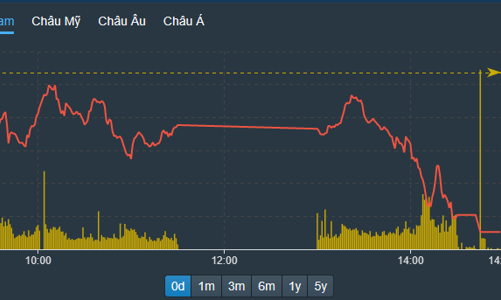 Cổ phiếu nhỏ đua kịch trần, VN-Index bốc hơi 14 điểm