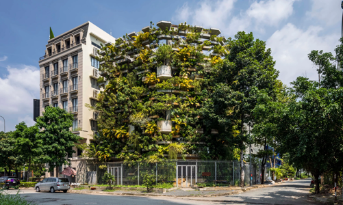 “Trang trại thẳng đứng