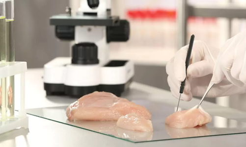 Thịt nhân tạo đã sẵn sàng để từ phòng thí nghiệm lên bàn ăn