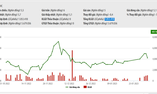 TVC báo lỗ 380 tỷ, lãnh đạo không mua cổ phiếu như đăng ký do 