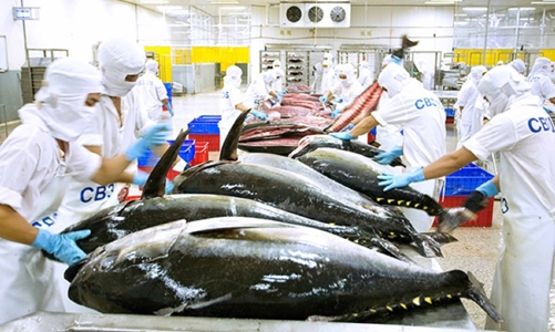 Xuất khẩu thủy sản tháng 1/2023: “Đầu chưa xuôi... liệu đuôi có lọt”