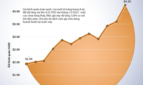 Dịch cúm gia cầm thổi bùng khủng hoảng giá trứng tại Mỹ