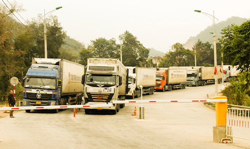 Quảng Ninh: Nhiều hoạt động sản xuất kinh doanh khởi sắc ngay từ tháng đầu năm 2023