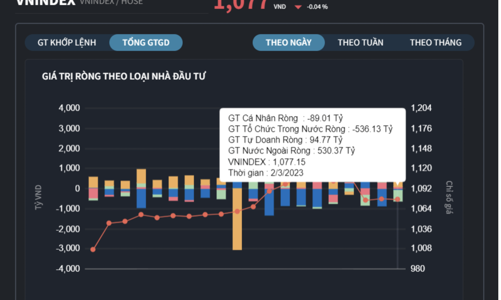 Cá nhân ngừng bán tháo, nhà đầu tư tổ chức xả ròng 553 tỷ đồng ra thị trường 