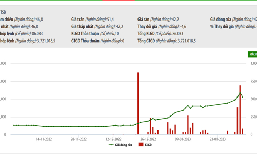 Hóa chất Đức Giang muốn mua 51% vốn tại TSB với giá không vượt quá 39.200 đồng/cổ phiếu