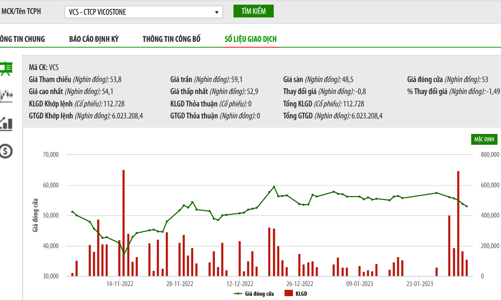 Uỷ ban Chứng khoán Nhà nước từ chối phương án mua lại cổ phiếu quỹ của VCS