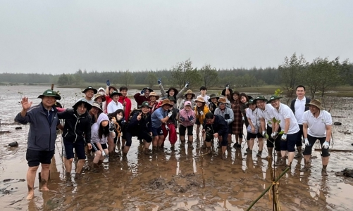 Hàn Quốc và Việt Nam hợp tác phát triển lâm nghiệp công nghệ cao