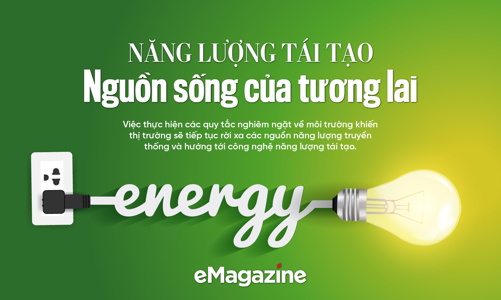 Năng lượng tái tạo: Nguồn sống của tương lai