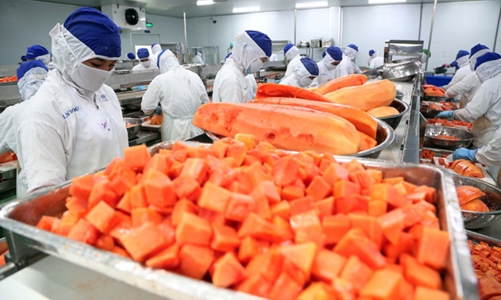 Lần đầu tiên xuất khẩu rau quả chế biến vượt mốc 1 tỷ USD