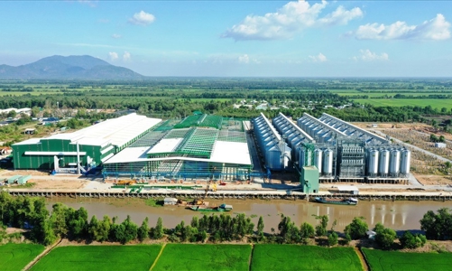 Tín dụng xanh - “bà đỡ” trong phát triển nông nghiệp