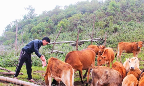 Thay đổi cách làm kinh tế giúp bà con vươn lên thoát nghèo bền vững