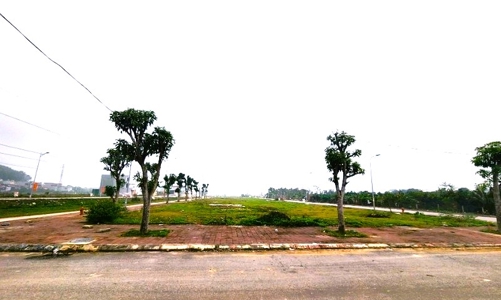 Thanh Hóa hủy kết quả đấu giá khu dân cư hơn 130 tỷ do chủ đầu tư chây ì nộp tiền