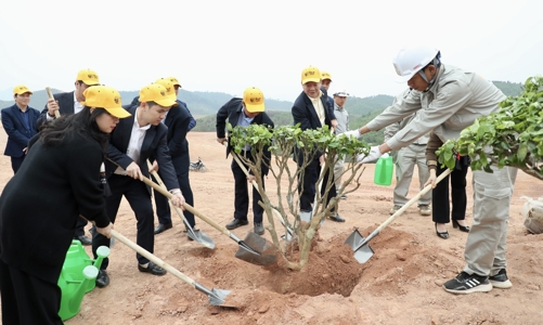 Phát động trồng cây phủ xanh 16 ha dự án sân golf tại tỉnh Phú Thọ