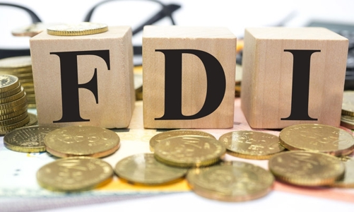 “Đại bàng” FDI báo lỗ triền miên